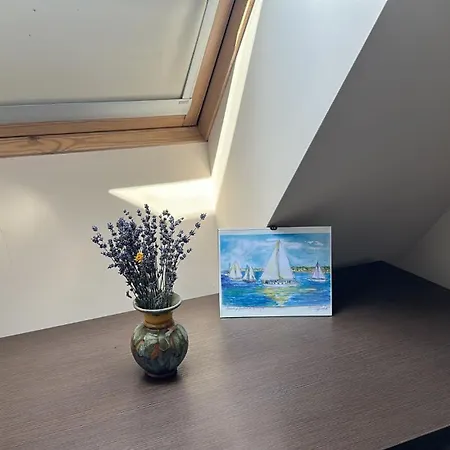 Apartment Thermae Heritage Penthouse With Garage *