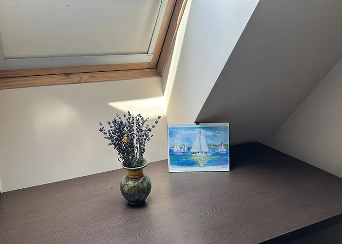 Apartment Thermae Heritage Penthouse With Garage *