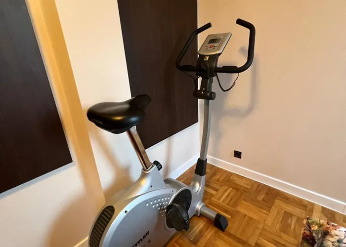 Thermae Heritage Penthouse With Garage 公寓 *